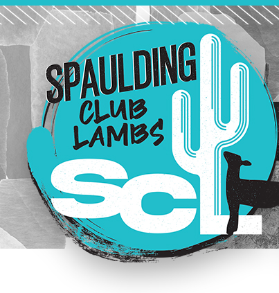 Spaulding Club Lambs